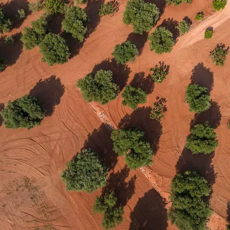 Masseria Torrelonga Фазано