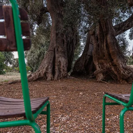 Masseria Torrelonga Bauernhof Fasano