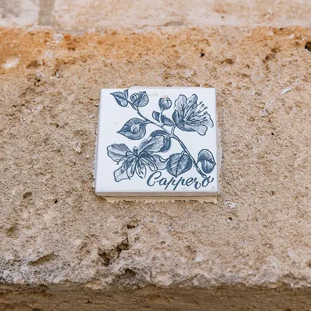 Masseria Torrelonga Fasano