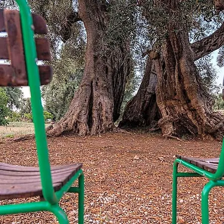 Masseria Torrelonga Séjour à la ferme Fasano