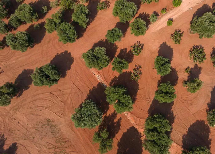 Masseria Torrelonga 파사노