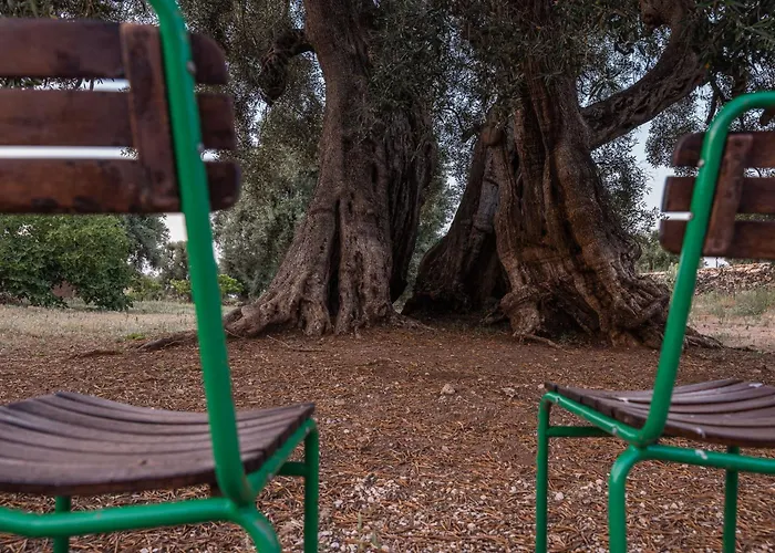 Masseria Torrelonga Farma Fasano